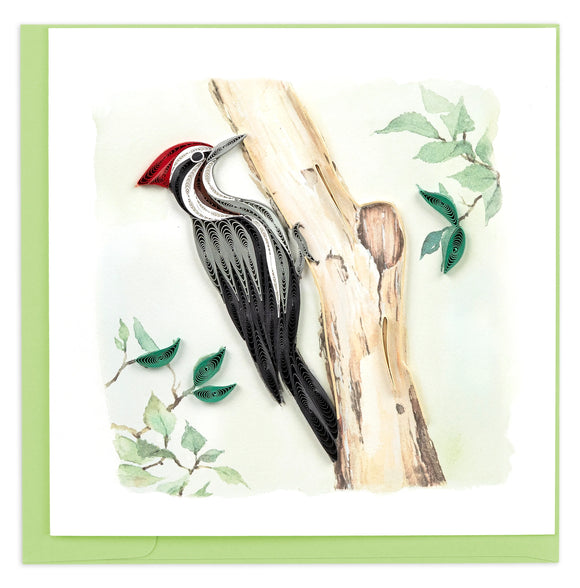 Quilled Pileated Woodpecker Greeting Card NEW 2024