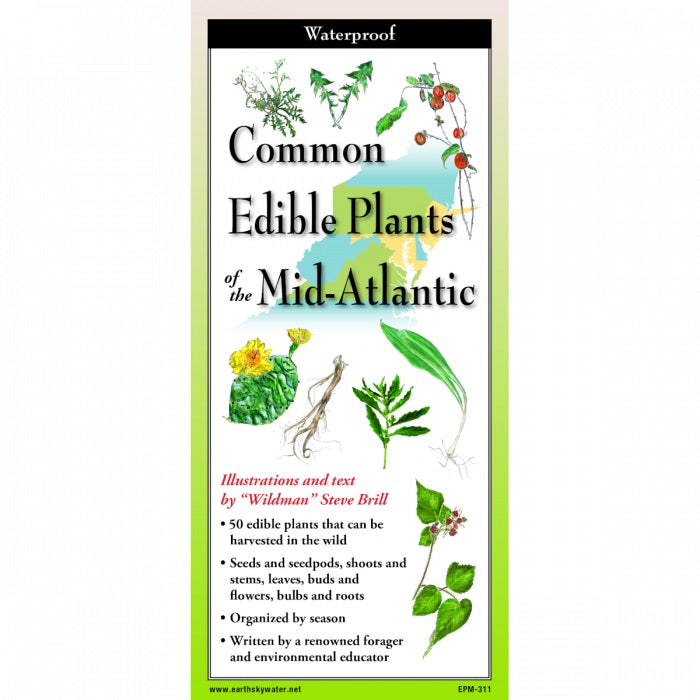 Edible Plants of the Mid-Atlantic