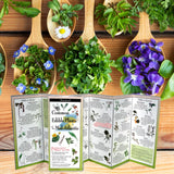 Edible Plants of the Mid-Atlantic