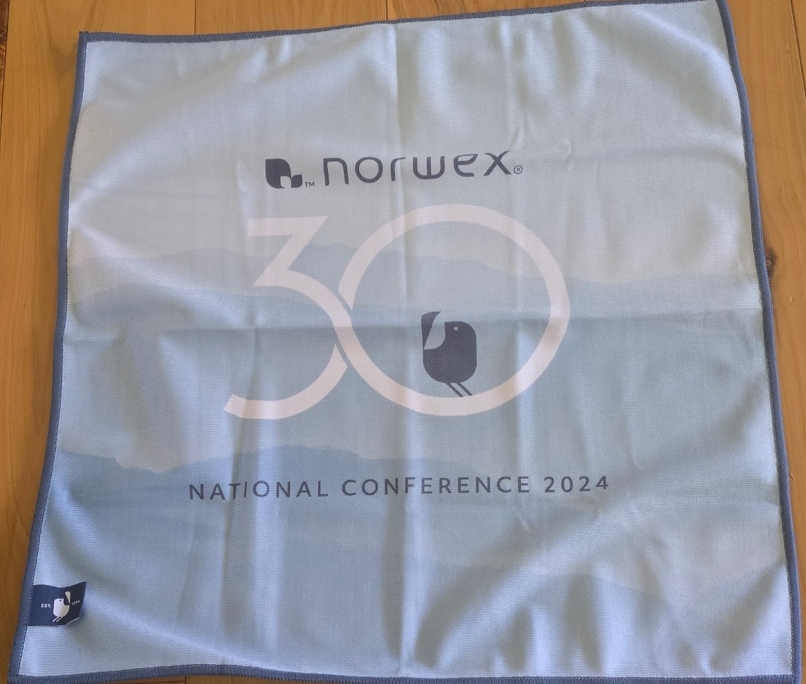 Norwex Window Cloth