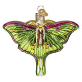 Old World Luna Moth Ornament