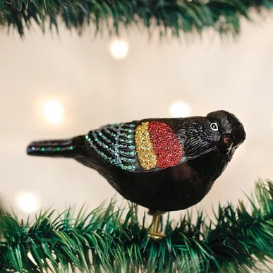 Old World Red-winged Blackbird Ornament