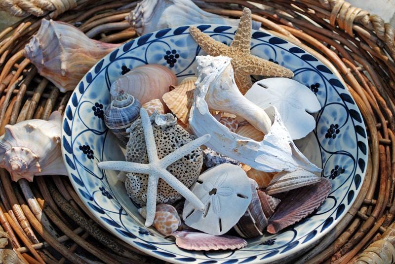 Blue Crab Hand Painted Stoneware 11 inch Serving Bowl Set of 2.