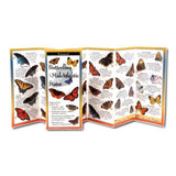 Butterflies of the Mid Atlantic States.