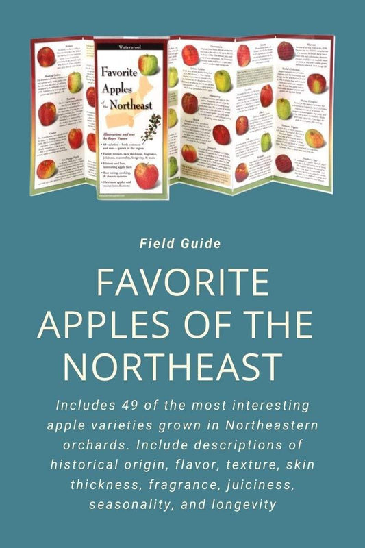 Favorite Apples of the Northeast.