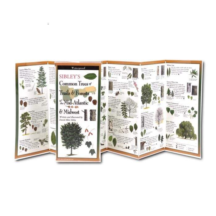 Sibley’s Common Trees of Trails & Forests of the Mid-Atlantic & Midwest.