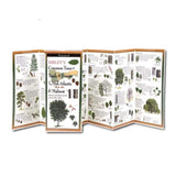 Sibley’s Common Trees of Trails & Forests of the Mid-Atlantic & Midwest.