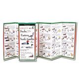 Sibley’s Ducks, Geese, & Swans of Eastern North America.