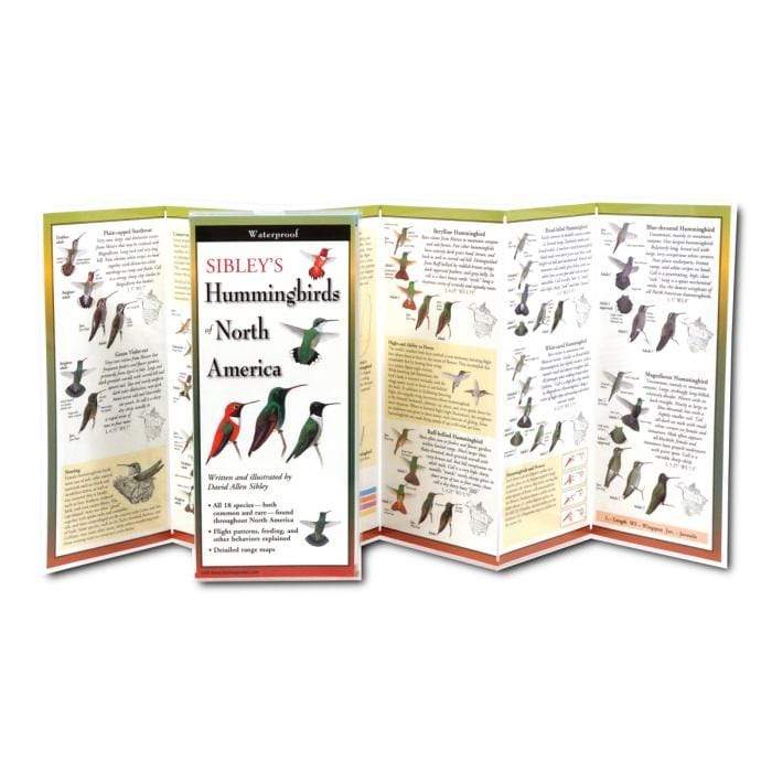 Sibley's Hummingbirds of North America.
