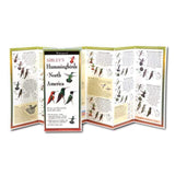 Sibley's Hummingbirds of North America.