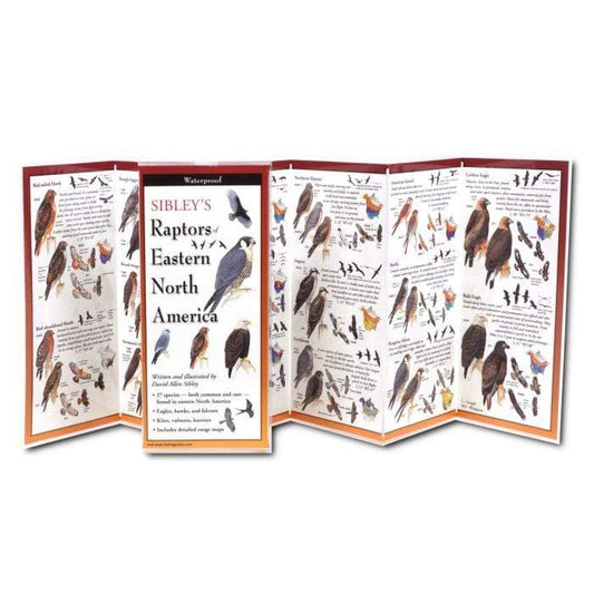 Sibley's Raptors of Eastern North America.
