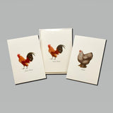 Chicken Assortment Boxed Notes.