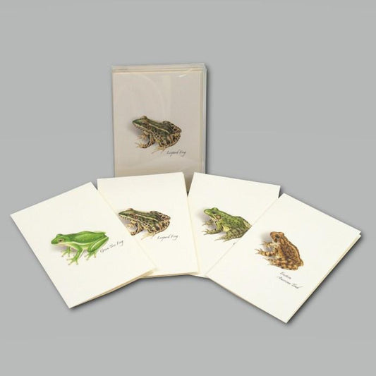 Frog & Toad Assortment Boxed Notes.