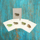 Frog & Toad Assortment Boxed Notes.