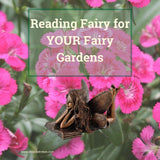 Fairy Reading.