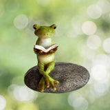 Frog Reading On A Stone.