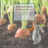 Rabbit Holding A Carrot.