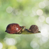 Turtle and Hedgehog.