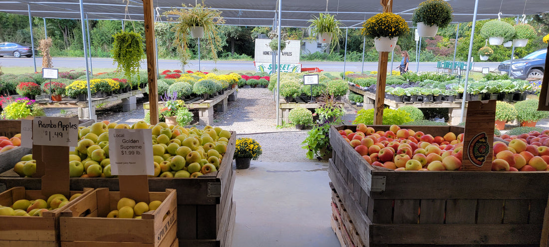 A Visit To Spicknall's Farm Market  In Beltsville