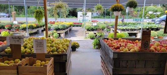 A Visit To Spicknall's Farm Market  In Beltsville