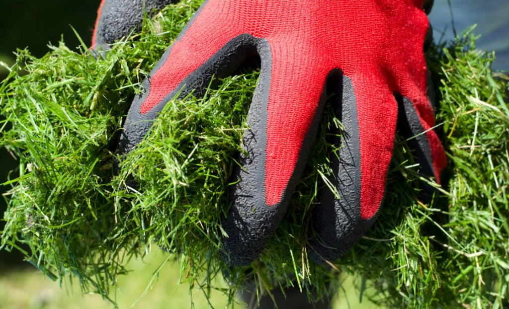 How to Use Your Grass Clippings