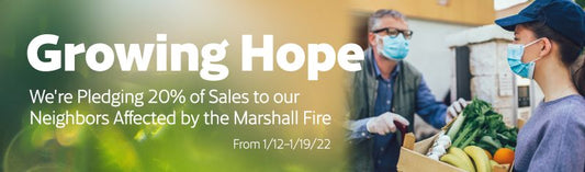 Growing Hope With Botanical Interests Seeds