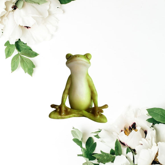 Yoga Frog Meditation Lotus Pose