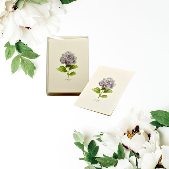 Boxed Nature Notecards