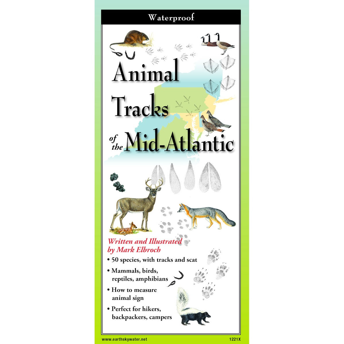 Animal Tracks of the Mid-Atlantic