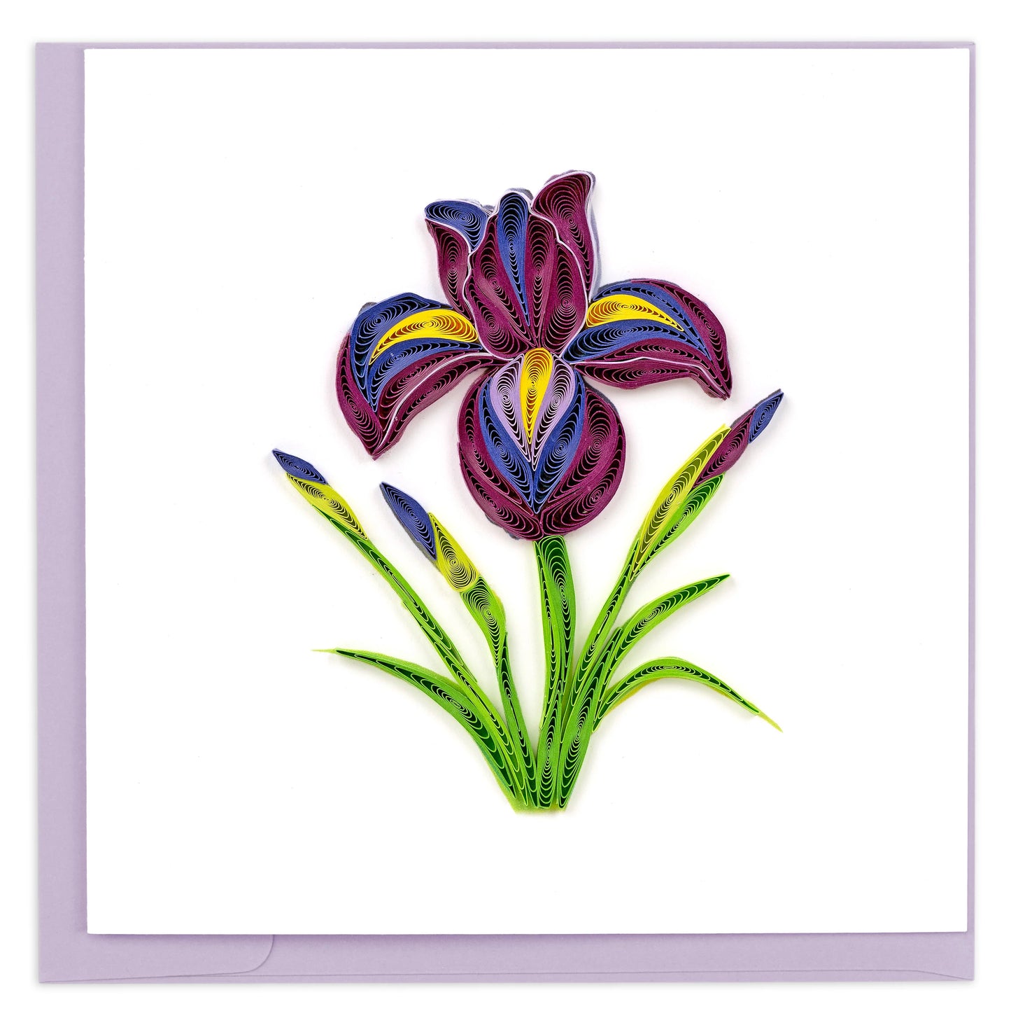 Quilled Iris Flower Greeting Card NEW