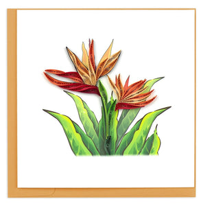 Quilled Bird of Paradise Greeting Card Retired