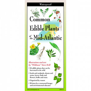 Edible Plants of the Mid-Atlantic