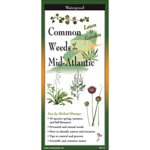 Common Weeds of the Mid-Atlantic