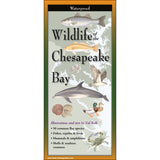 Wildlife of the Chesapeake Bay