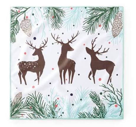 Norwex Window Cloth