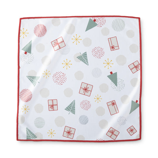 Norwex Window Cloth