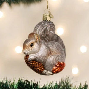 Old World Hungry Squirrel Ornament