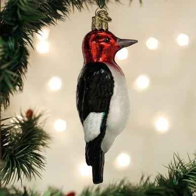 Old World Red-Headed Woodpecker Ornament