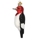 Old World Red-Headed Woodpecker Ornament
