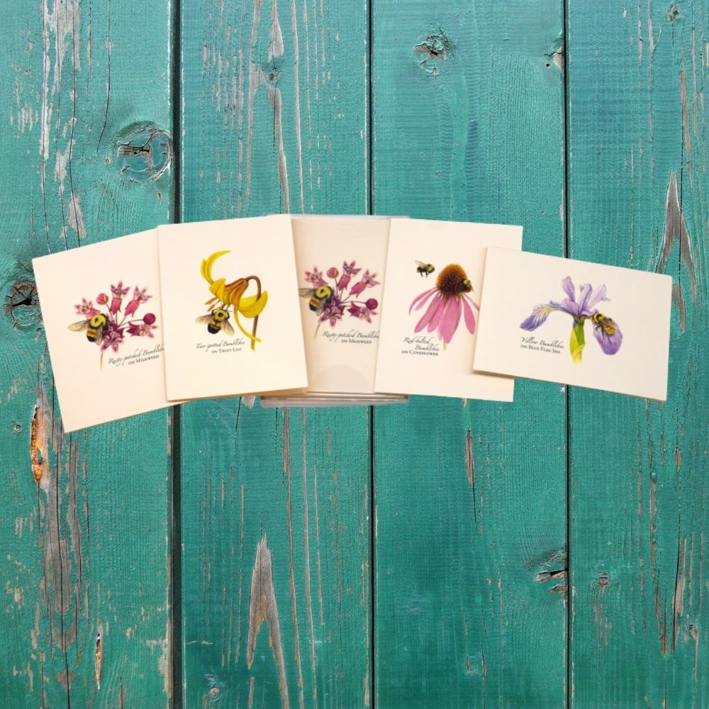 Bumblebee Assortment Boxed Note Cards