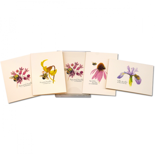 Bumblebee Assortment Boxed Note Cards