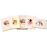 Bumblebee Assortment Boxed Note Cards
