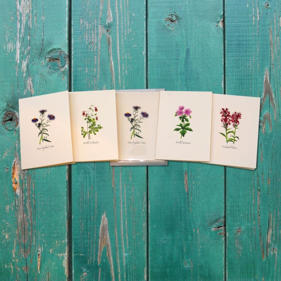 Meadow Wildflower Assortment Note Cards