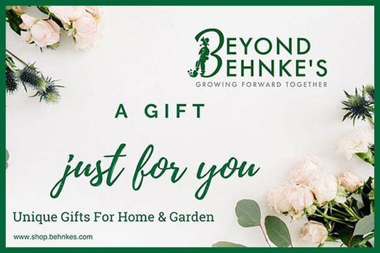 Beyond Behnkes Gift Card.