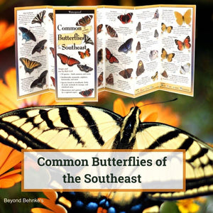 Common Butterflies of the Southeast.