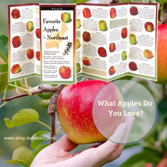 Favorite Apples of the Northeast.
