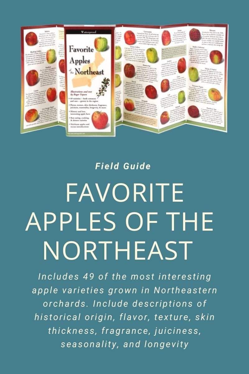 Favorite Apples of the Northeast.