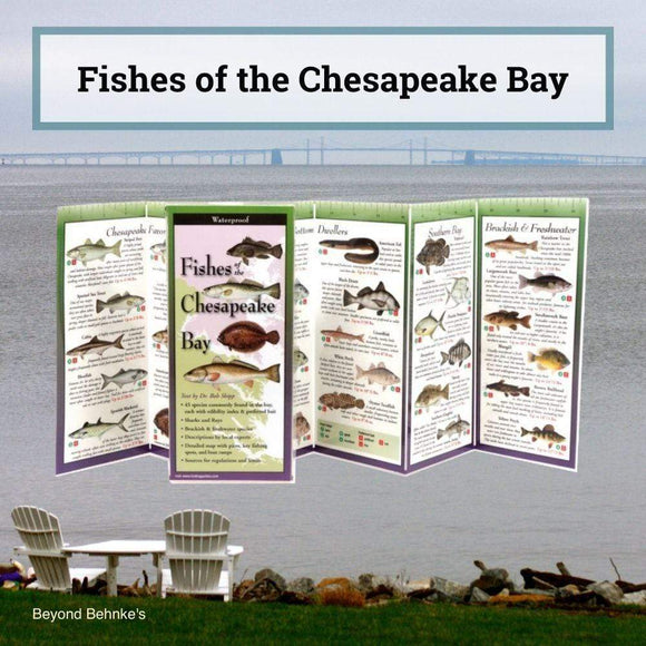 Fishes of the Chesapeake Bay.