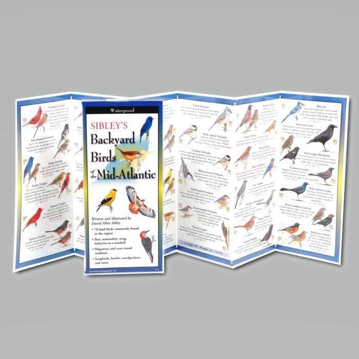 Sibley’s Backyard Birds of the Mid-Atlantic.