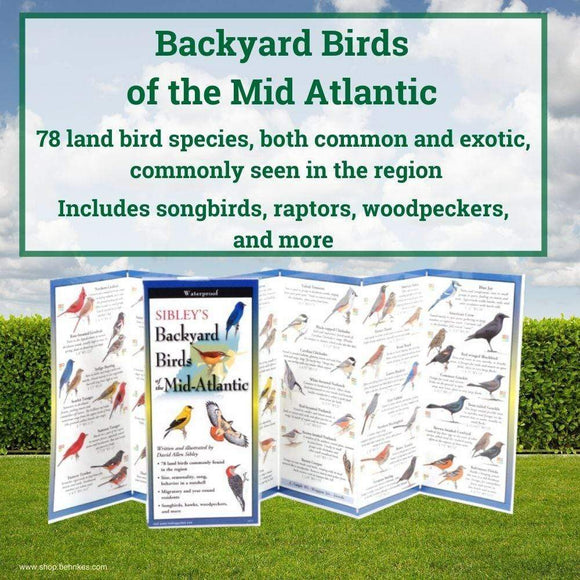 Sibley’s Backyard Birds of the Mid-Atlantic.